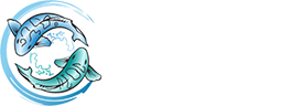 Chang Orthodontics